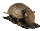 Armadillo