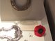 Thing Douglas Haig and Red Poppy